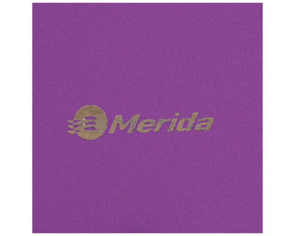 Pojemnik na papier toaletowy MERIDA STELLA VIOLET LINE MEGA, średnica papieru do 28 cm, fioletowy Pojemnik na papier toaletowy MERIDA STELLA VIOLET LINE MEGA, średnica papieru do 28 cm, fioletowy