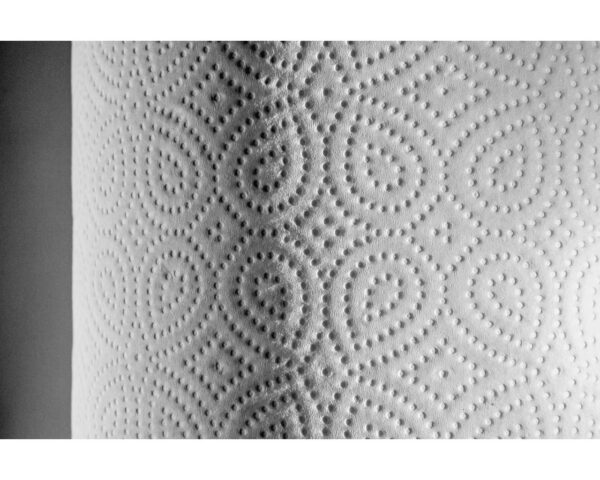 Papier toaletowy MERIDA TOP, biały, średnica 19 cm, długość 120 m, dwuwarstwowy, zgrzewka 12 szt., ECOLABEL Papier toaletowy MERIDA TOP, biały, średnica 19 cm, długość 120 m, dwuwarstwowy, zgrzewka 12 szt., ECOLABEL